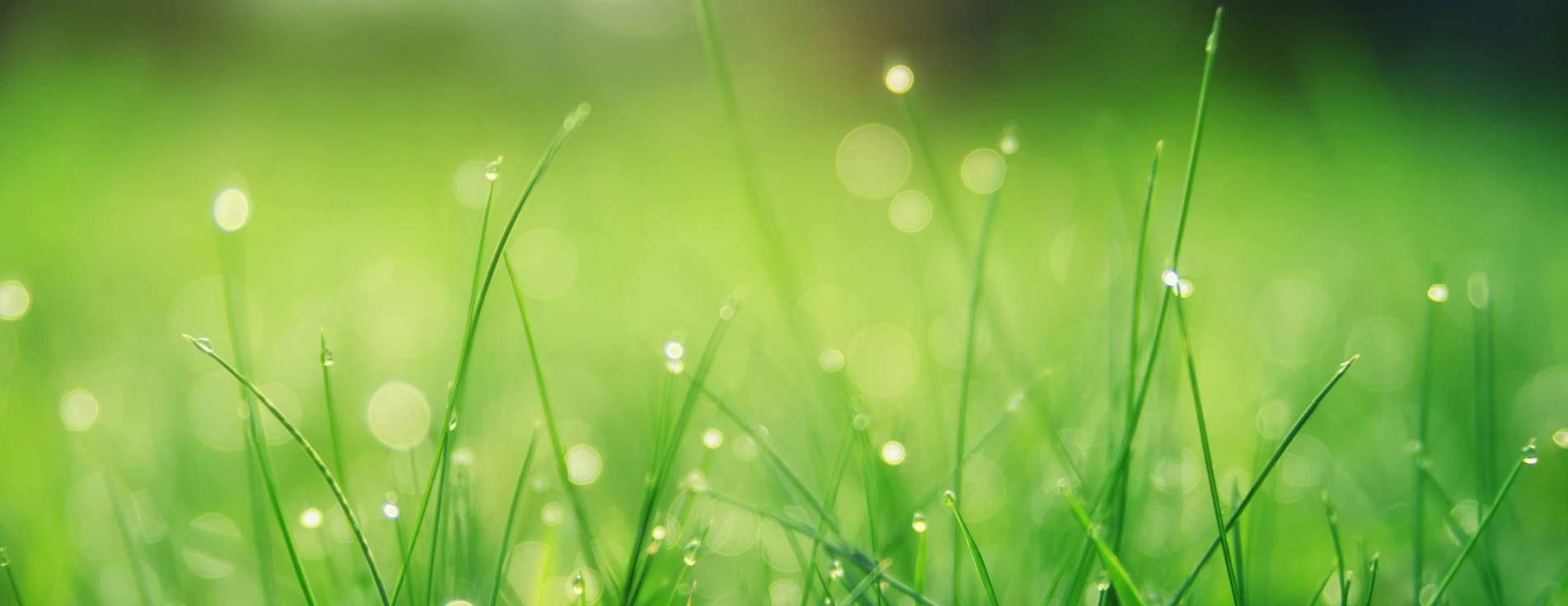 Festival de l'Avenir au Naturel de l'Albenc 2025